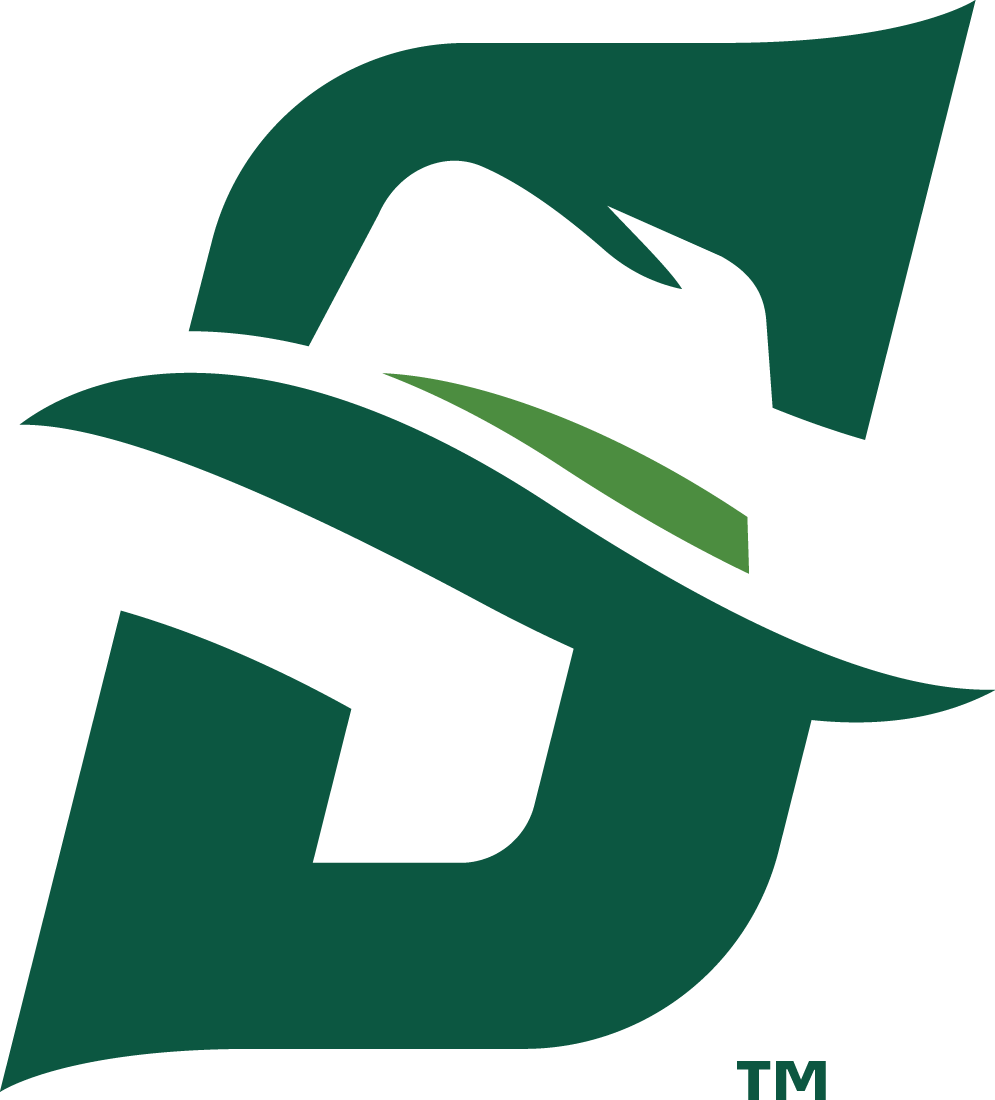 Stetson Hatters 2018-Pres Primary Logo diy DTF decal sticker